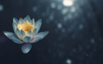 7 Korzyści z Medytacji Mindfulness